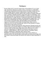 Referāts '"Elles ķēķis" (Gunars Saliņš)', 16.