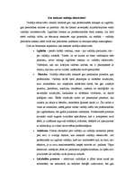 Eseja 'Kas ietekmē vadītāja darba efektivitāti?', 1.