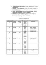 Konspekts 'Lietvārds', 4.