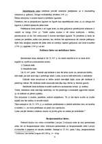 Referāts 'Civiltiesiskais objekts', 6.