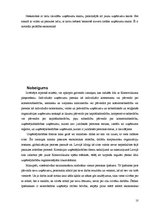 Referāts 'Uzņēmumu un komersantu veidi', 10.