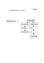 Referāts 'Uzņēmumu un komersantu veidi', 13.