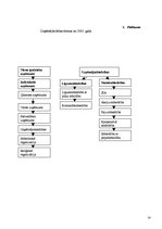 Referāts 'Uzņēmumu un komersantu veidi', 14.