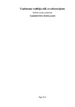 Referāts 'Uzņēmuma vadītāja stili, to raksturojums', 1.