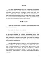 Referāts 'Uzņēmuma vadītāja stili, to raksturojums', 2.