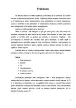 Referāts 'Uzņēmuma vadītāja stili, to raksturojums', 5.