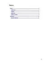 Referāts 'Uzņēmuma vadītāja stili, to raksturojums', 12.