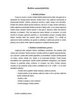 Referāts 'Budžets uzņēmējdarbībā', 1.