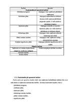 Referāts 'Budžets uzņēmējdarbībā', 6.