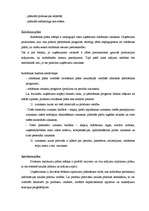 Referāts 'Budžets uzņēmējdarbībā', 8.