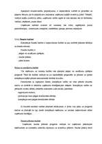 Referāts 'Budžets uzņēmējdarbībā', 10.