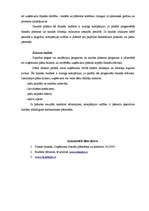 Referāts 'Budžets uzņēmējdarbībā', 11.