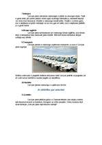 Konspekts 'Latvijas pasts', 2.