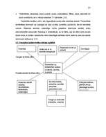 Referāts 'Masu mediju ietekme uz kultūrvidi vispārizglītojošā skolā', 25.