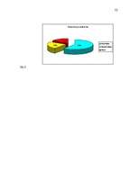 Referāts 'Masu mediju ietekme uz kultūrvidi vispārizglītojošā skolā', 52.