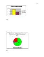 Referāts 'Masu mediju ietekme uz kultūrvidi vispārizglītojošā skolā', 53.