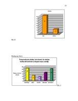 Referāts 'Masu mediju ietekme uz kultūrvidi vispārizglītojošā skolā', 55.