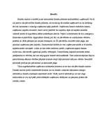 Referāts 'Finanšu analīze', 2.