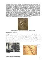 Referāts 'Leonardo da Vinči', 8.