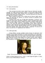 Referāts 'Leonardo da Vinči', 9.