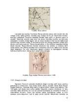 Referāts 'Leonardo da Vinči', 12.