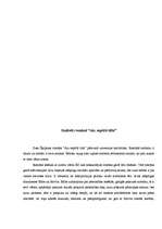 Referāts 'Ilzes Šķipsnas romāns "Aiz septītā tilta"', 9.