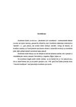 Referāts 'Ilzes Šķipsnas romāns "Aiz septītā tilta"', 16.