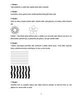 Konspekts 'Iradiācijas fenomens reklāmas darbībā', 2.