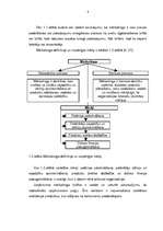 Referāts 'Mārketinga kompleksa vadīšana uzņēmumā SIA "Zane un M"', 8.
