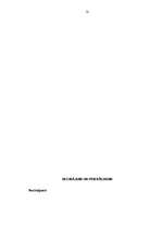 Referāts 'Mārketinga kompleksa vadīšana uzņēmumā SIA "Zane un M"', 52.