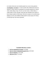 Referāts 'Vēlēšanu kampaņa partijai "Saskaņas Centrs"', 9.