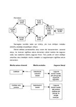 Konspekts 'Mācību metodes izvēle', 2.