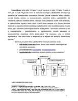 Referāts 'Uzņēmējdarbības veidi Latvijā', 3.