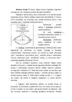 Referāts 'Visa mūsu vērtība slēpjas domāšanā', 8.