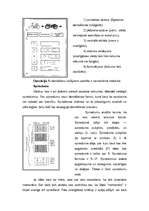 Referāts 'Visa mūsu vērtība slēpjas domāšanā', 20.