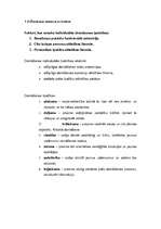 Referāts 'Visa mūsu vērtība slēpjas domāšanā', 22.