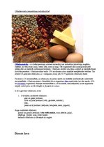 Konspekts 'Olbaltumvielas', 1.