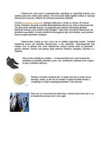 Konspekts 'Olbaltumvielas', 3.