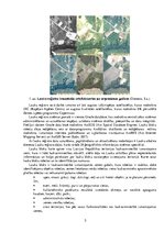 Referāts 'Tālizpētes materiālu izmantošana lauku atbalsta dienesta funkciju realizācijā', 3.