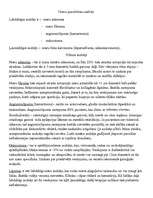 Konspekts 'Nieru parenhīmas audzēji', 1.