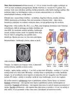 Konspekts 'Nieru parenhīmas audzēji', 2.