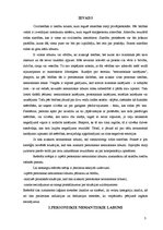 Referāts 'Personisko nemantisko labumu aizskaršana', 3.