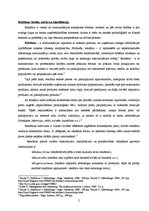 Konspekts 'Produkta reklāmas analīze', 2.