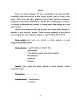 Referāts 'Lai vienmēr būtu saule un saules aizsarglīdzekļi', 3.