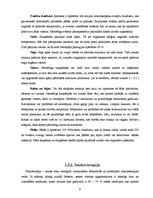 Referāts 'Lai vienmēr būtu saule un saules aizsarglīdzekļi', 9.