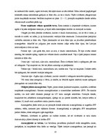 Referāts 'Lai vienmēr būtu saule un saules aizsarglīdzekļi', 20.