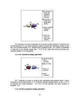 Referāts 'Lai vienmēr būtu saule un saules aizsarglīdzekļi', 26.