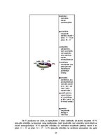 Referāts 'Lai vienmēr būtu saule un saules aizsarglīdzekļi', 29.