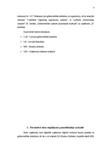 Referāts 'Pamatlīdzekļu uzskaite organizācijā SIA "X"', 4.