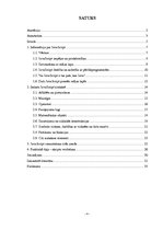 Referāts 'JavaScript izmantošana mājas lapu veidošanā', 4.